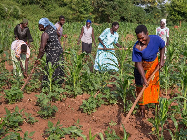 Empowering Rural Women Farmers in Africa