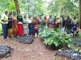Mazingira women group