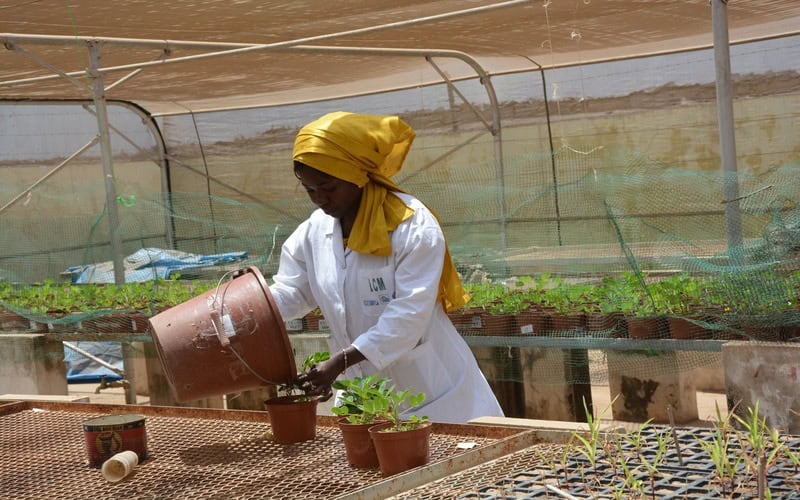African-Women-in-Agricultural-Research-and-Development