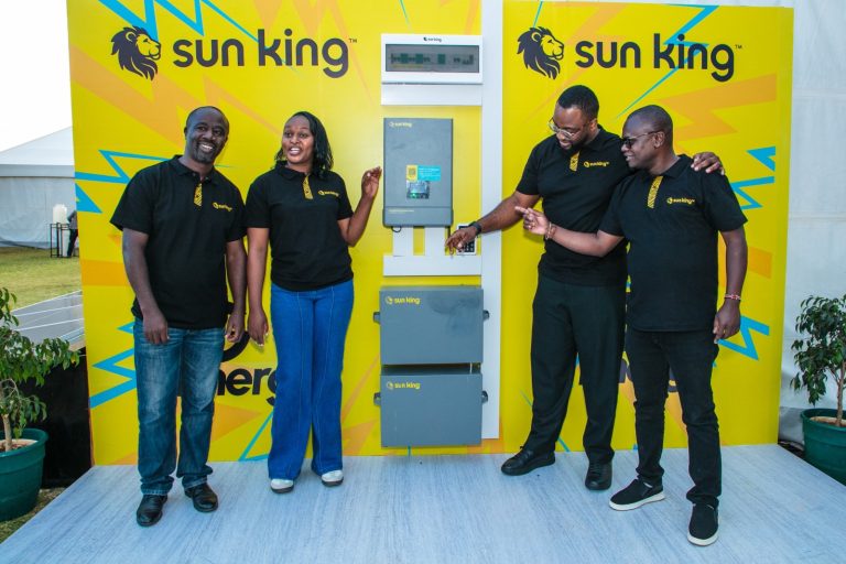 Sunking inverter  team